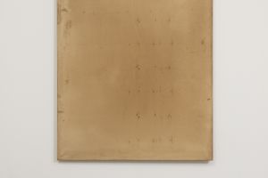 Leonardo Anker Vandal