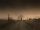 11789-6928 by Todd Hido contemporary artwork Photography