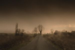 Todd Hido