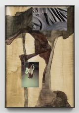 Atlas of the Concealed I by Biraaj Dodiya contemporary artwork works on paper