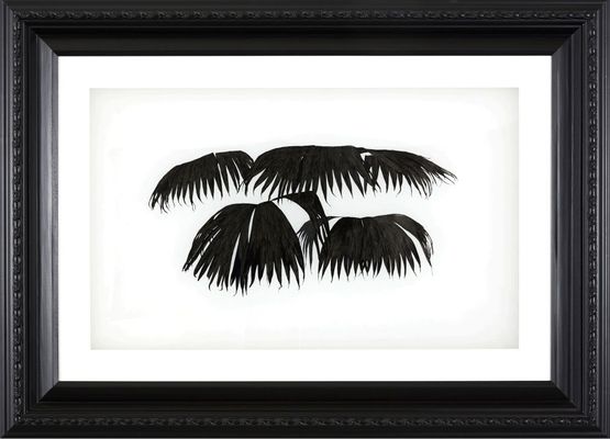 Palm 06 Untitled by Hu Yun contemporary artwork Works on Paper