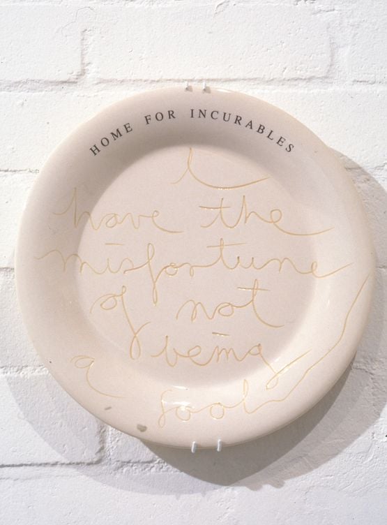 Home for Incurables by Fiona Hall contemporary artwork