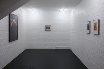 Contemporary art exhibition Meg Porteous Stars at Lett Thomas Karangahape Road New Zealand