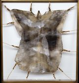 Skin to Skin III by Bhasha Chakrabarti contemporary artwork sculpture
