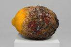 Kathleen Ryan contemporary artist