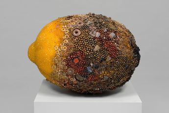 Kathleen Ryan contemporary artist