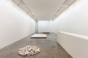 Contemporary art exhibition Dorothy Cross I dreamt I dwelt at Kerlin Gallery Dublin Ireland