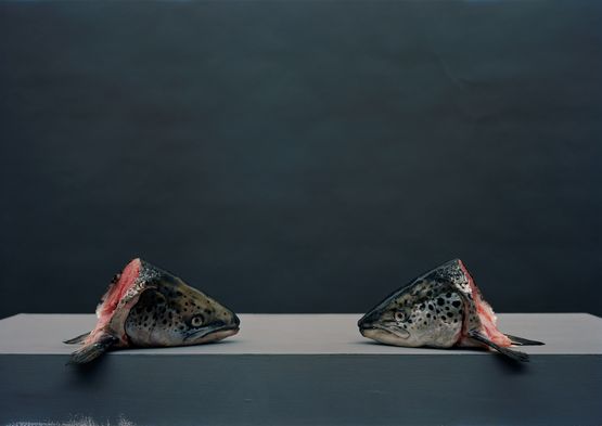 Heads by Olivier Richon contemporary artwork Photography