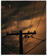 Untitled by Bill Henson contemporary artwork photography