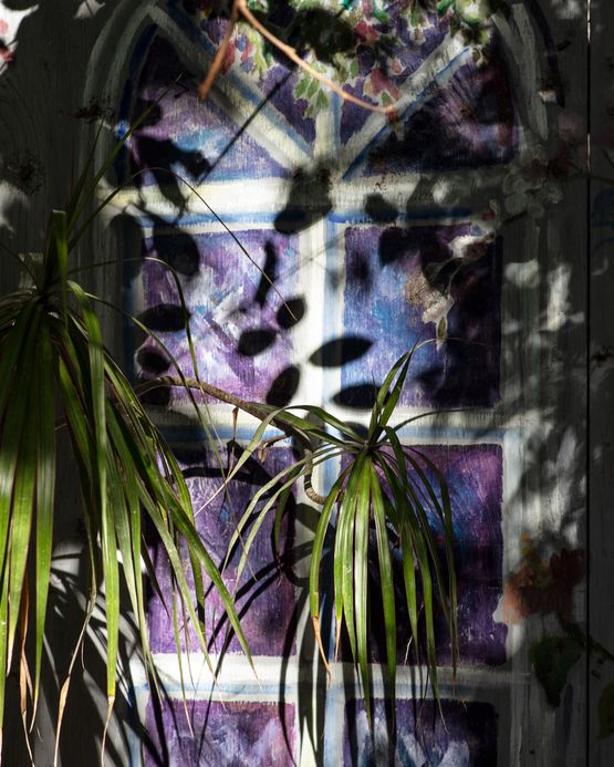 Window Key Largo by Anastasia Samoylova contemporary artwork Print