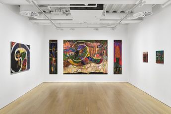 Contemporary art exhibition Alyina Zaidi Rewilding at Pilar Corrias Conduit Street United Kingdom