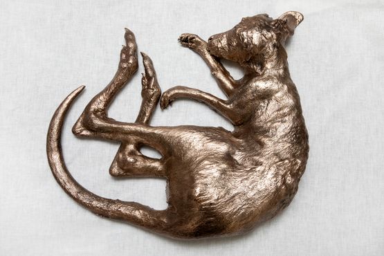 eastern grey joey by Rebecca Selleck contemporary artwork Sculpture