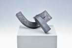 Peter Schwickerath contemporary artist