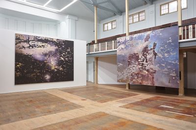 Auckland Lowdown Must-See Exhibitions