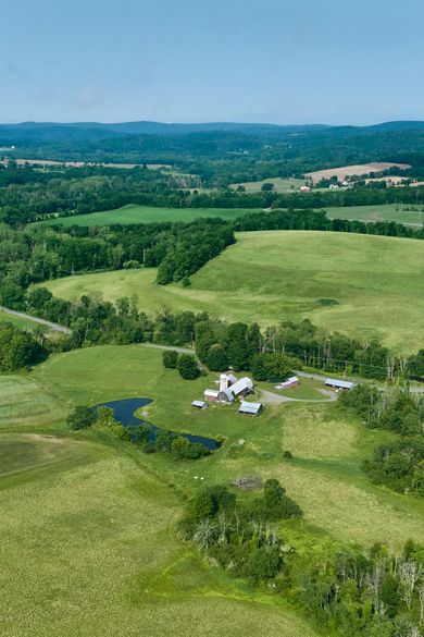 Of This Earth: Dan Colen Farms Meaning in the Hudson Valley