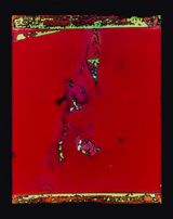 Venom by Justine Varga contemporary artwork photography