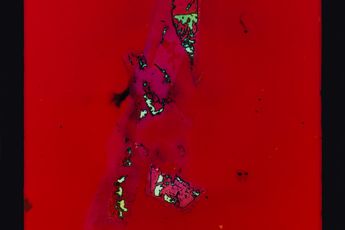 Justine Varga contemporary artist
