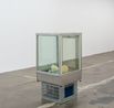 The thing we used to call nature by Alicia Frankovich contemporary artwork Sculpture