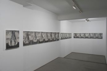 Contemporary art exhibition Babak Golkar The Elephant an Intermission at Sabrina Amrani Madera 23 Madrid Spain