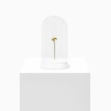EUGLOSSINI by Ana Gonzalez contemporary artwork mixed media sculpture