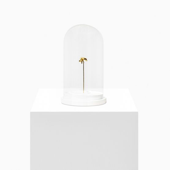 EUGLOSSINI by Ana Gonzalez contemporary artwork Sculpture