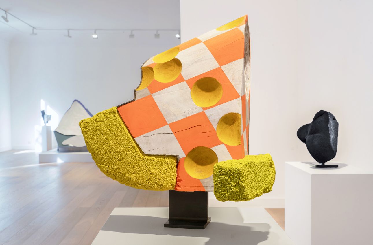 Arlene Shechet
