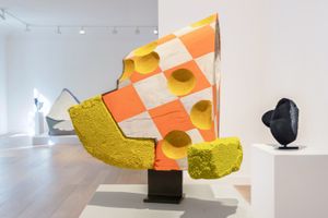 Arlene Shechet