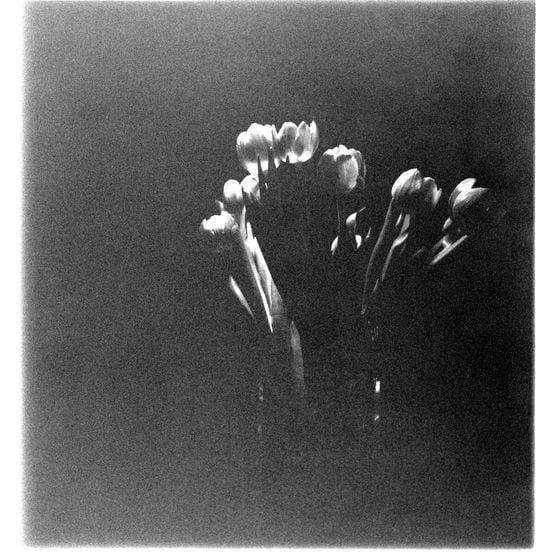 Untitled by Ziad Antar contemporary artwork Photography