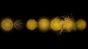 Singing Suns by Shahzia Sikander contemporary artwork Moving Image