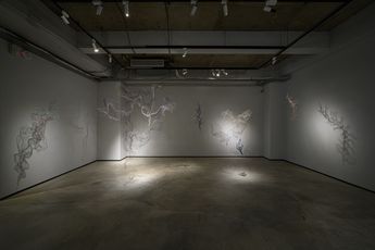 Contemporary art exhibition Group Exhibition When Night Falls at TKG TKG Taipei Taiwan