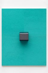 Bullnose by Adam Mcewen contemporary artwork mixed media