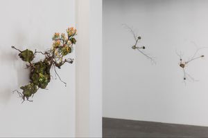 Emeric Chantier
