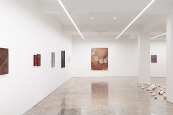 Contemporary art exhibition Elle Wickens Skin After Successive Skin at Ames Yavuz Sydney Australia