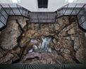 Hondalea Marine Abyss by Cristina Iglesias contemporary artwork Sculpture