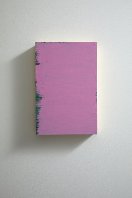 Pink by David Thomas contemporary artwork Painting