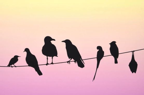 Some Londoners by Jeremy Deller contemporary artwork Works on Paper
