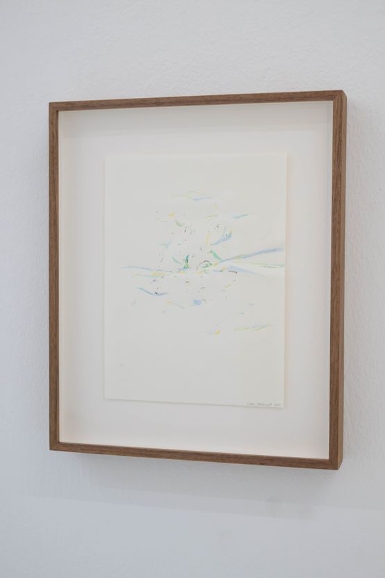 Traces 475944.5N 75112.4E by Isaac Chong Wai contemporary artwork Works on Paper