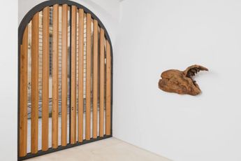 Contemporary art exhibition Daniel Steegmann Mangrane La Pensee Ferale at Mendes Wood DM Paris France