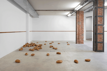 Contemporary art exhibition Steven Rhall Sung Tieu Statecraft at Monash University Museum of Art  MUMA Melbourne Australia