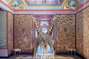 Karen Knorr