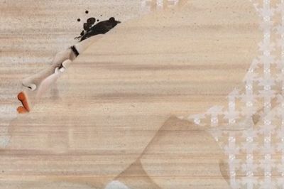 Hayv Kahraman  Not Quite Human Second Iteration