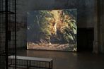Noemie Goudal contemporary artist