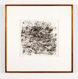 Grey Box Beetle Umwelt by John Wolseley contemporary artwork print