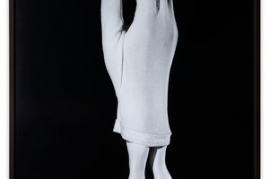 Laurie Simmons