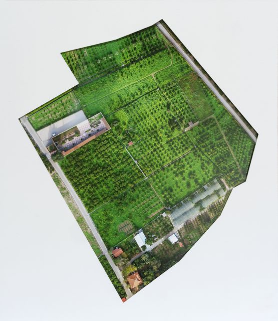 Hort BartoliMuseu del citric by Antoni Muntadas contemporary artwork Photography