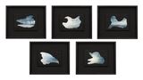 Different lenses by Muhanned Cader contemporary artwork painting