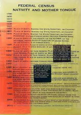 Federal Census Nativity and Mother Tongue by Furen Dai contemporary artwork print
