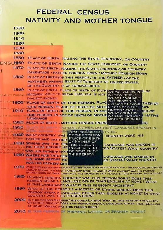 Federal Census Nativity and Mother Tongue by Furen Dai contemporary artwork Print