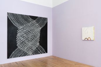 Contemporary art exhibition Alicia McCarthy Solo Exhibition at Andrew Kreps Gallery 394 Broadway United States