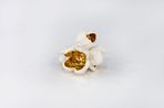 Companion by Pae White contemporary artwork Sculpture